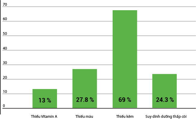 Mất cân bằng dinh dưỡng ở người lớn tuổi